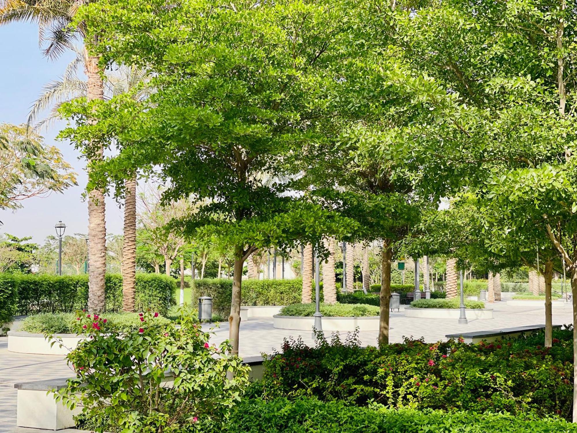 Goodwood Suites Homes Vacation Dubai Eksteriør bilde